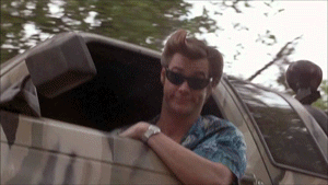 giphy gif