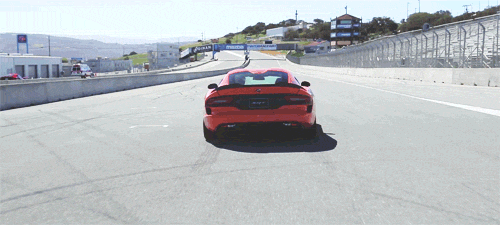 giphy gif