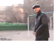 giphy gif