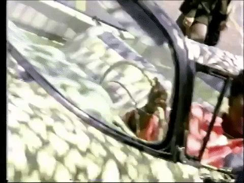 giphy gif