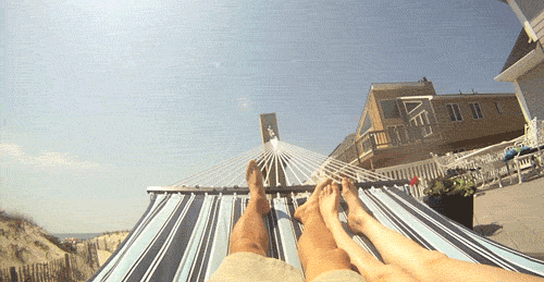 giphy gif