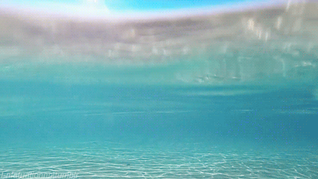 giphy gif